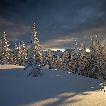 Meissnitzer * Haus im Ennstal