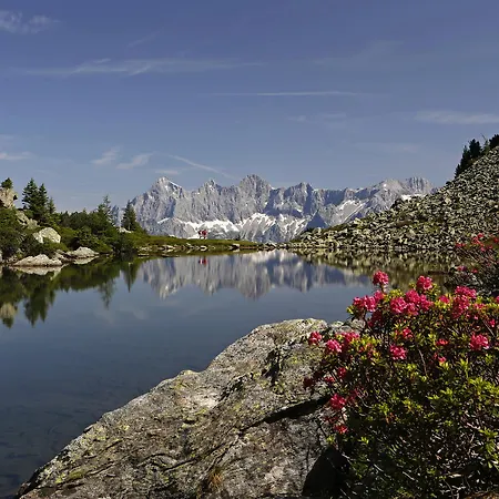Prázdninový dům Meissnitzer *
