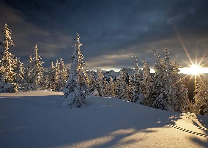 Meissnitzer * Haus im Ennstal