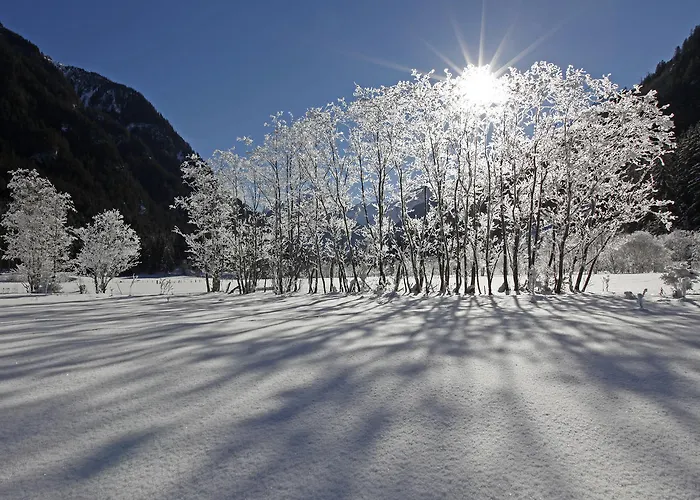 Meissnitzer * Haus im Ennstal