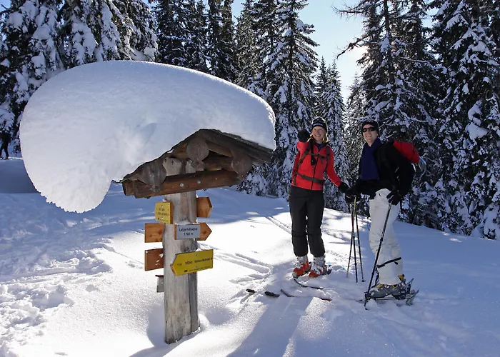 Meissnitzer * Haus im Ennstal